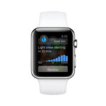 Cras aliquet isum group